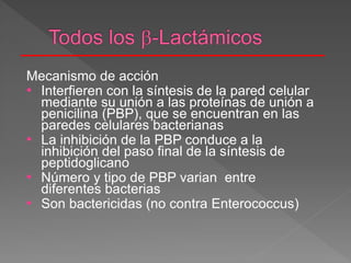Mecanismo de acción
• Interfieren con la síntesis de la pared celular
mediante su unión a las proteínas de unión a
penicilina (PBP), que se encuentran en las
paredes celulares bacterianas
• La inhibición de la PBP conduce a la
inhibición del paso final de la síntesis de
peptidoglicano
• Número y tipo de PBP varian entre
diferentes bacterias
• Son bactericidas (no contra Enterococcus)
 