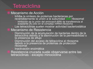  Mecanismo de Acción
› Inhibe la síntesis de proteínas bacterianas por
reversiblemente la unión a la subunidad 30S ribosomal
 Inhibición de la unión del aminoacil-ARN de transferencia al
aceptante (A) sitio en el complejo mRNA-ribosoma
› Las tetraciclinas suelen mostrar actividad bacteriostática
 Mecanismo de Resistencia
› Disminución de la acumulación de bacterias dentro de la
tetraciclina debido a la disminución de la permeabilidad o
la presencia de eflujo
› Disminución del acceso de tetraciclina al ribosoma
debido a la presencia de proteínas de protección
ribosomal
› Inactivación enzimática
 Resistencia cruzada suele observarse entre las
tetraciclinas - excepto minociclina
 