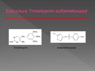 Trimethoprim Sulfamethoxazole
 