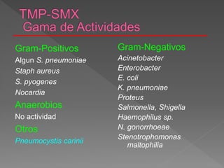 Gram-Positivos
Algun S. pneumoniae
Staph aureus
S. pyogenes
Nocardia
Anaerobios
No actividad
Otros
Pneumocystis carinii
Gram-Negativos
Acinetobacter
Enterobacter
E. coli
K. pneumoniae
Proteus
Salmonella, Shigella
Haemophilus sp.
N. gonorrhoeae
Stenotrophomonas
maltophilia
 
