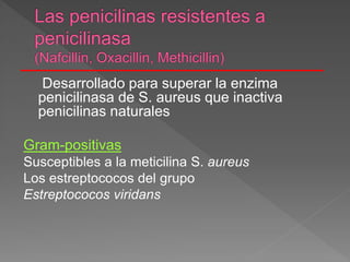 Desarrollado para superar la enzima
penicilinasa de S. aureus que inactiva
penicilinas naturales
Gram-positivas
Susceptibles a la meticilina S. aureus
Los estreptococos del grupo
Estreptococos viridans
 