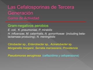 Gram-negativos aerobios
E. coli, K. pneumoniae, P. mirabilis
H. influenzae, M. catarrhalis, N. gonorrhoeae (including beta-
lactamase producing); N. meningitidis
Citrobacter sp., Enterobacter sp., Acinetobacter sp.
Morganella morganii, Serratia marcescens, Providencia
Pseudomonas aeruginosa (ceftazidima y cefoperazona)
 