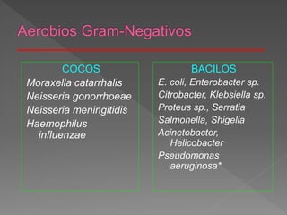 COCOS
Moraxella catarrhalis
Neisseria gonorrhoeae
Neisseria meningitidis
Haemophilus
influenzae
BACILOS
E. coli, Enterobacter sp.
Citrobacter, Klebsiella sp.
Proteus sp., Serratia
Salmonella, Shigella
Acinetobacter,
Helicobacter
Pseudomonas
aeruginosa*
 