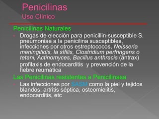 Penicilinas Naturales
• Drogas de elección para penicillin-susceptible S.
pneumoniae a la penicilina susceptibles,
infecciones por otros estreptococos, Neisseria
meningitidis, la sífilis, Clostridium perfringens o
tetani, Actinomyces, Bacillus anthracis (ántrax)
profilaxis de endocarditis y prevención de la
fiebre reumática
Las Penicilinas resistentes a Penicilinasa
• Las infecciones por SASM como la piel y tejidos
blandos, artritis séptica, osteomielitis,
endocarditis, etc
 