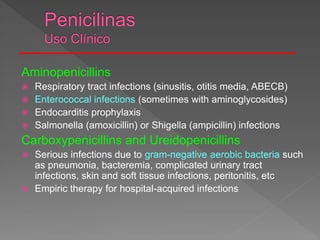 Aminopenicillins
 Respiratory tract infections (sinusitis, otitis media, ABECB)
 Enterococcal infections (sometimes with aminoglycosides)
 Endocarditis prophylaxis
 Salmonella (amoxicillin) or Shigella (ampicillin) infections
Carboxypenicillins and Ureidopenicillins
 Serious infections due to gram-negative aerobic bacteria such
as pneumonia, bacteremia, complicated urinary tract
infections, skin and soft tissue infections, peritonitis, etc
 Empiric therapy for hospital-acquired infections
 