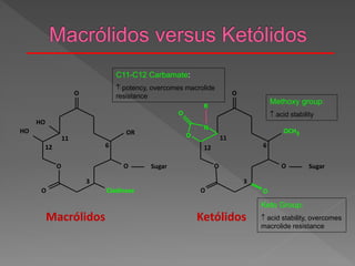 O
O
OCH3
O
O Sugar
O
R
O
N
O
Ketólidos
Cladinose
O
O
OR
O Sugar
O
HO
HO
3
6
11
12
3
6
11
12
Macrólidos
C11-C12 Carbamate:
 potency, overcomes macrolide
resistance
Methoxy group:
 acid stability
Keto Group:
 acid stability, overcomes
macrolide resistance
 