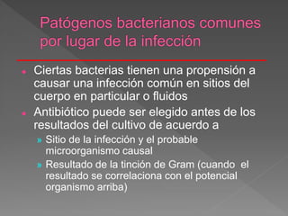  Ciertas bacterias tienen una propensión a
causar una infección común en sitios del
cuerpo en particular o fluidos
 Antibiótico puede ser elegido antes de los
resultados del cultivo de acuerdo a
» Sitio de la infección y el probable
microorganismo causal
» Resultado de la tinción de Gram (cuando el
resultado se correlaciona con el potencial
organismo arriba)
 