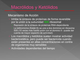 Mecanismo de Acción
› Inhibe la síntesis de proteínas de forma reversible
por la unión a la subunidad 50S ribosomal
 Represión de la síntesis de proteínas RNA-dependiente
 La telitromicina (Ketek ®) se une a dos dominios en ribosoma
50S (10 veces más fuerte unión con el dominio II - puede dar
cuenta de mayor espectro de actividad)
› Los macrólidos y ketólidos suelen mostrar actividad
bacteriostática, pero puede ser bactericida cuando
están presentes en altas concentraciones en contra
de organismos muy sensibles
› Actividades dependientes del tiempo
 