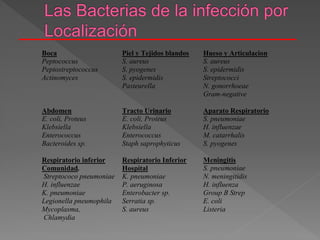Boca
Peptococcus
Peptostreptococcus
Actinomyces
Piel y Tejidos blandos
S. aureus
S. pyogenes
S. epidermidis
Pasteurella
Hueso y Articulacion
S. aureus
S. epidermidis
Streptococci
N. gonorrhoeae
Gram-negative
Abdomen
E. coli, Proteus
Klebsiella
Enterococcus
Bacteroides sp.
Tracto Urinario
E. coli, Proteus
Klebsiella
Enterococcus
Staph saprophyticus
Aparato Respiratorio
S. pneumoniae
H. influenzae
M. catarrhalis
S. pyogenes
Respiratorio inferior
Comunidad.
Streptococo pneumoniae
H. influenzae
K. pneumoniae
Legionella pneumophila
Mycoplasma,
Chlamydia
Respiratorio Inferior
Hospital
K. pneumoniae
P. aeruginosa
Enterobacter sp.
Serratia sp.
S. aureus
Meningitis
S. pneumoniae
N. meningitidis
H. influenza
Group B Strep
E. coli
Listeria
 