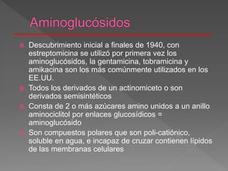  Descubrimiento inicial a finales de 1940, con
estreptomicina se utilizó por primera vez los
aminoglucósidos, la gentamicina, tobramicina y
amikacina son los más comúnmente utilizados en los
EE.UU.
 Todos los derivados de un actinomiceto o son
derivados semisintéticos
 Consta de 2 o más azúcares amino unidos a un anillo
aminociclitol por enlaces glucosídicos =
aminoglucósido
 Son compuestos polares que son poli-catiónico,
soluble en agua, e incapaz de cruzar contienen lípidos
de las membranas celulares
 