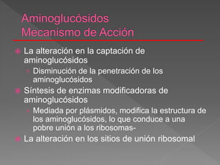  La alteración en la captación de
aminoglucósidos
› Disminución de la penetración de los
aminoglucósidos
 Síntesis de enzimas modificadoras de
aminoglucósidos
› Mediada por plásmidos, modifica la estructura de
los aminoglucósidos, lo que conduce a una
pobre unión a los ribosomas-
 La alteración en los sitios de unión ribosomal
 