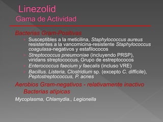 Bacterias Gram-Positivas
› Susceptibles a la meticilina, Staphylococcus aureus
resistentes a la vancomicina-resistente Staphylococcus
coagulasa-negativos y estafilococos
› Streptococcus pneumoniae (incluyendo PRSP),
viridans streptococcus, Grupo de estreptococos
› Enterococcus faecium y faecalis (incluso VRE)
› Bacillus. Listeria, Clostridium sp. (excepto C. difficile),
Peptostreptococcus, P. acnes
Aerobios Gram-negativos - relativamente inactivo
Bacterias atípicas
Mycoplasma, Chlamydia., Legionella
 