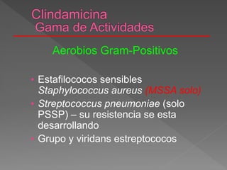 Aerobios Gram-Positivos
• Estafilococos sensibles
Staphylococcus aureus (MSSA solo)
• Streptococcus pneumoniae (solo
PSSP) – su resistencia se esta
desarrollando
• Grupo y viridans estreptococos
 