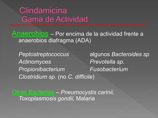 Anaerobios – Por encima de la actividad frente a
anaerobios diafragma (ADA)
Peptostreptococcus algunos Bacteroides sp
Actinomyces Prevotella sp.
Propionibacterium Fusobacterium
Clostridium sp. (no C. difficile)
Otras Bacterias – Pneumocystis carinii,
Toxoplasmosis gondii, Malaria
 