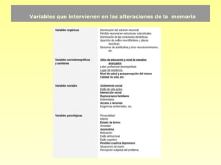Variables que intervienen en las alteraciones de la memoria

         Variables orgánicas           Disminución del volumen neuronal
                                       Pérdida neuronal en estructuras subcorticales
                                       Disminución de las conexiones dendríticas
                                       Aparición de ovillos neurofibrilares y placas
                                              neuríticas
                                       Descenso de acetilcolina y otros neurotransmisores,
                                              etc.

         Variables sociodemográficas   Años de educación y nivel de estudios
         y sanitarias                         avanzados
                                       Labor profesional desempeñada
                                       Lugar de residencia
                                       Nivel de salud y autopercepción del mismo
                                       Calidad de vida, etc.

         Variables sociales            Aislamiento social
                                       Estilo de vida activo
                                       Interacción social
                                       Ruptura lazos familiares
                                       Estereotipos
                                       Acceso a recursos
                                       Exigencias ambientales, etc.

         Variables psicológicas        Personalidad
                                       Interés
                                       Estado de ánimo
                                       Ansiedad
                                       Autoestima
                                       Motivación
                                       Estilo atribucional
                                       Estilo cognitivo
                                       Posibles cuadros depresivos
                                       Situaciones de estrés
                                       Percepción subjetiva del problema
 