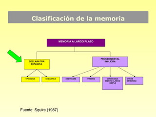 Clasificación de la memoria


                               MEMORIA A LARGO PLAZO




                                                          PROCEDIMENTAL
     DECLARATIVA                                             IMPLÍCITA
      EXPLÍCITA




  EPISÓDICA        SEMÁNTICA       DESTREZAS    PRIMING       CONDICIONA-     OTRAS
                                                             MIENTO CLÁSICO   MEMORIAS
                                                                 SIMPLE




Fuente: Squire (1987)
 