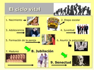 El ciclo vital

1. Nacimiento                           2. Etapa escolar



3. Adolescencia                         4. Juventud



5. Formación de la pareja            6. Asumir la paternidad



7. Madurez           8. Jubilación


                                9. Senectud
 