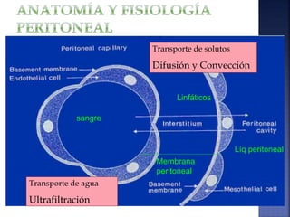 Transporte de solutos
Difusión y Convección
Transporte de agua
Ultrafiltración
sangre
Membrana
peritoneal
Líq peritoneal
Linfáticos
 