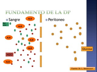  Sangre  Peritoneo
Glucosa
H2O
ALB
ALB
ALB
ALB
ALB
ALB
Na+
urea
Fuente: Dr. L. Betancourt
 