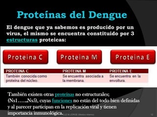 Proteínas del Dengue
El dengue que ya sabemos es producido por un
virus, el mismo se encuentra constituido por 3
estructuras proteicas:
También existen otras proteínas no estructurales;
(Ns1…………..Ns5), cuyas funciones no están del todo bien definidas
y al parecer participan en la replicación viral y tienen
importancia inmunológica. 12LUZ M.JORGE (Medico Interno)
 