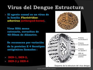 Virus del Dengue Estructura
 El agente causal es un virus de
la familia Flaviviridae:
arbovirus (arthropod-borne).
Virus RNA mono
catenario, envueltos de
40-50nm de diámetro.
Se reconocen por variación
de la proteína E 4 Serotipos
antigénicos llamados :
 DEN-1, DEN-2,
 DEN-3 y DEN-4
13LUZ M.JORGE (Medico Interno)
 