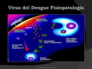 Virus del Dengue Fisiopatología
16LUZ M.JORGE (Medico Interno)
 
