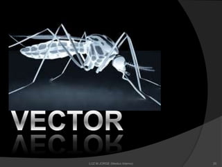 20LUZ M.JORGE (Medico Interno)
 