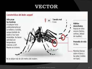 VECTOR
22LUZ M.JORGE (Medico Interno)
 