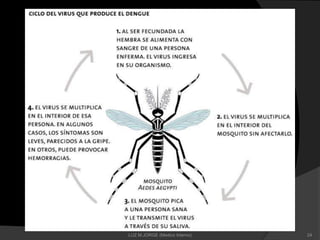 24LUZ M.JORGE (Medico Interno)
 