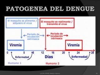 PATOGENEA DEL DENGUE
26LUZ M.JORGE (Medico Interno)
 