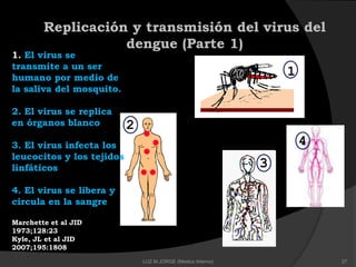 Replicación y transmisión del virus del
dengue (Parte 1)
1. El virus se
transmite a un ser
humano por medio de
la saliva del mosquito.
2. El virus se replica
en órganos blanco
3. El virus infecta los
leucocitos y los tejidos
linfáticos
4. El virus se libera y
circula en la sangre
Marchette et al JID
1973;128:23
Kyle, JL et al JID
2007;195:1808
3
4
1
2
27LUZ M.JORGE (Medico Interno)
 