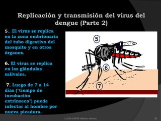 Replicación y transmisión del virus del
dengue (Parte 2)
5.. El virus se replica
en la zona embrionaria
del tubo digestivo del
mosquito y en otros
órganos.
6. El virus se replica
en las glándulas
salivales.
7. Luego de 7 a 14
días ("tiempo de
incubación
extrínseco") puede
infectar al hombre por
nueva picadura.
5
6
7
28LUZ M.JORGE (Medico Interno)
 