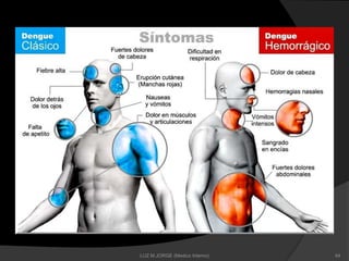 44LUZ M.JORGE (Medico Interno)
 