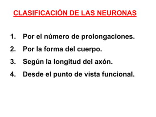 CLASIFICACIÓN DE LAS NEURONASPor el número de prolongaciones.Por la forma del cuerpo.Según la longitud del axón.Desde el punto de vista funcional.