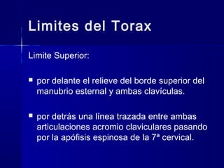 Limites del Torax
Limite Superior:
 por delante el relieve del borde superior del
manubrio esternal y ambas clavículas.
 por detrás una línea trazada entre ambas
articulaciones acromio claviculares pasando
por la apófisis espinosa de la 7ª cervical.
 