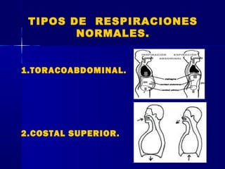 TIPOS DE RESPIRACIONES
NORMALES.
1.TORACOABDOMINAL.
2.COSTAL SUPERIOR.
 