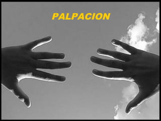 PALPACION
 
