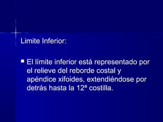 Limite Inferior:
 El límite inferior está representado por
el relieve del reborde costal y
apéndice xifoides, extendiéndose por
detrás hasta la 12ª costilla.
 