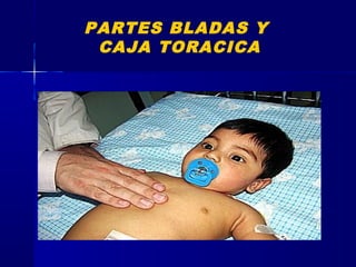 PARTES BLADAS Y
CAJA TORACICA
 