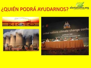 ¿QUIÉN PODRÁ AYUDARNOS?
 