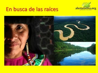 En busca de las raíces
 