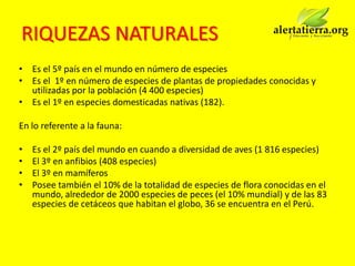 RIQUEZAS NATURALES
• Es el 5º país en el mundo en número de especies
• Es el 1º en número de especies de plantas de propiedades conocidas y
  utilizadas por la población (4 400 especies)
• Es el 1º en especies domesticadas nativas (182).

En lo referente a la fauna:

•   Es el 2º país del mundo en cuando a diversidad de aves (1 816 especies)
•   El 3º en anfibios (408 especies)
•   El 3º en mamíferos
•   Posee también el 10% de la totalidad de especies de flora conocidas en el
    mundo, alrededor de 2000 especies de peces (el 10% mundial) y de las 83
    especies de cetáceos que habitan el globo, 36 se encuentra en el Perú.
 
