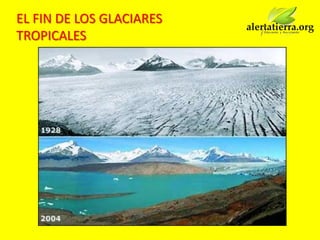 EL FIN DE LOS GLACIARES
TROPICALES
 