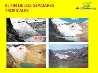 EL FIN DE LOS GLACIARES
TROPICALES
 