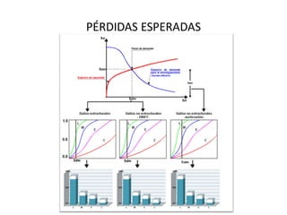 PÉRDIDAS ESPERADAS  