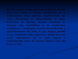 En esta cuenca se han generado grados de erosión altos; sus causas se centran básicamente en la deforestación, talas, quemas, transformación del suelo, deficiencias en disponibilidad de agua, fenómenos de heladas, factores históricos de tenencia, baja rentabilidad en las condiciones económicas y tecnologías actuales de producción y aprovechamiento del suelo, lo que implica pérdida en las condiciones físico-químicas y productivas del suelo, agotamiento de la capa vegetal y contaminación tanto del recurso hídrico como del suelo y el aire.  