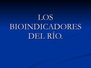 LOS BIOINDICADORES DEL RÍO. 
