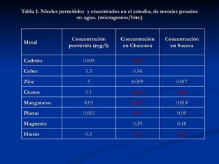 Tabla 1. Niveles permitidos  y encontrados en el estudio, de metales pesados en agua. (microgramo/litro) Metal Concentración permitida (mg/l) Concentración en Chocontá Concentración en Suesca Cadmio 0.005 0.04 Cobre 1.3 0.04 Zinc 5 0.009 0.017 Cromo 0.1 0.213 0.08 Manganeso 0.05 0.087 0.014 Plomo 0.015 0.17 0.09 Magnesio 0.29 0.18 Hierro 0.3 0.79 0.93 
