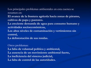 Los principales problemas ambientales en esta cuenca se resumen en: El avance de la frontera agrícola hacia zonas de páramo, cultivos de papa y pastoreo. La creciente demanda de agua para consumo humano y actividades socioeconómicas,  Los altos niveles de contaminación y vertimientos sin control, La deforestación de sus rondas. Otros problemas: La falta de voluntad política y ambiental, La ausencia de un movimiento ambiental fuerte, La ineficiencia del sistema judicial,  La falta de control de las autoridades.  