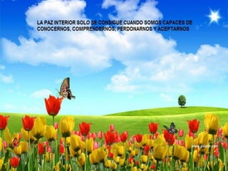 Los apuntes aquí presentados constituyen indicaciones
a las plegarias angustiadas de todos nosotros, almas que
ansían la felicidad sin saber cómo es y qué hacer para
alcanzarla.
Innumerables rogativas parten de corazones queridos,
iluminados con el conocimiento espírita. Afligidos unos,
desanimados otros, a pesar de la claridad del saber
doctrinario, se sienten frustrados al examinar su vida
interior.
Tareas y orientación, oración y esfuerzo, según sus
suplicas, no han sido suficientes. Continúan, día tras día,
cargando el martirio mental sin soluciones o
alternativas de sosiego y paz interior.
 
